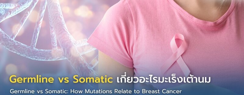 Germline vs Somatic เกี่ยวอะไรมะเร็งเต้านม