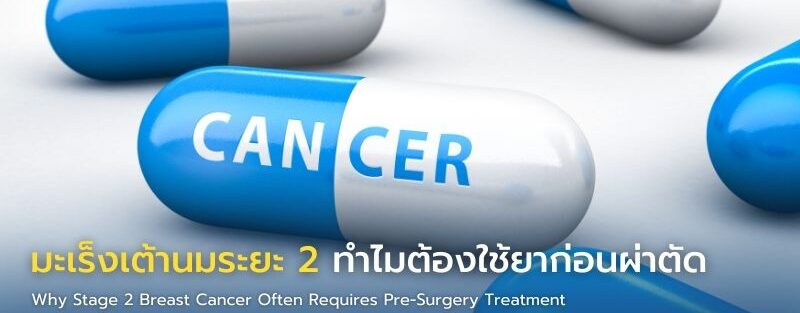 Infographic แสดงเหตุผลการให้ยาก่อนผ่าตัดในมะเร็งเต้านมระยะ 2 เช่น ลดขนาดก้อน ประเมินการตอบสนอง และเพิ่มโอกาสสงวนเต้า