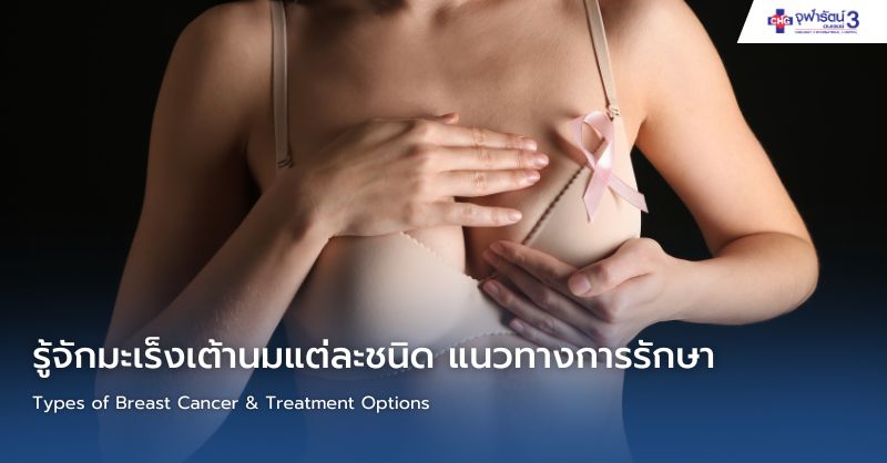 ตารางสรุปชนิดมะเร็งเต้านมและแนวทางการรักษา: ER+/PR+, HER2+, Triple Negative, Luminal A-B และมะเร็งเต้านมชนิดหายาก