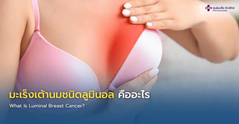 อินโฟกราฟิกอธิบายมะเร็งเต้านมชนิดลูมินอล Luminal A และ Luminal B ที่มีตัวรับฮอร์โมน ER PR เป็นบวก และแนวทางการรักษา