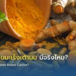 สมุนไพรต้านมะเร็งเต้านม มีจริงไหม?