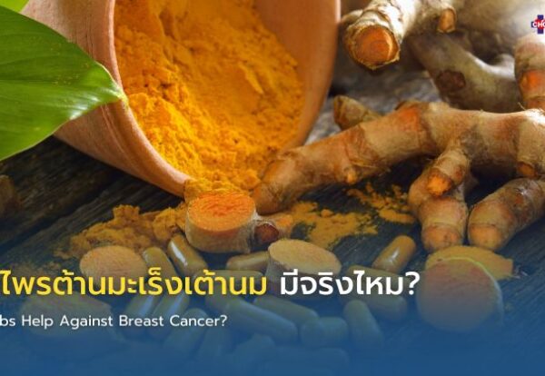herbs-and-breast-cancer ขมิ้นชันและชาเขียวกับการดูแลผู้ป่วยมะเร็ง
