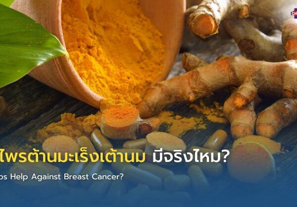 สมุนไพรต้านมะเร็งเต้านม มีจริงไหม?