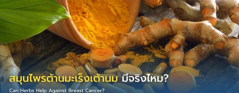 ขมิ้นชันและชาเขียวกับการดูแลผู้ป่วยมะเร็ง