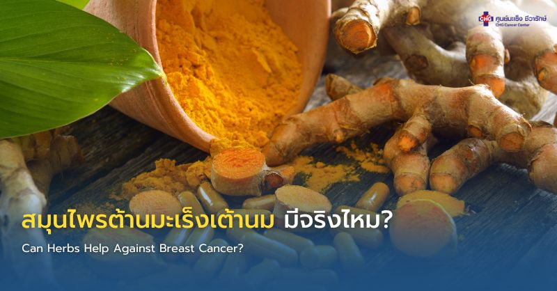 ขมิ้นชันและชาเขียวกับการดูแลผู้ป่วยมะเร็ง